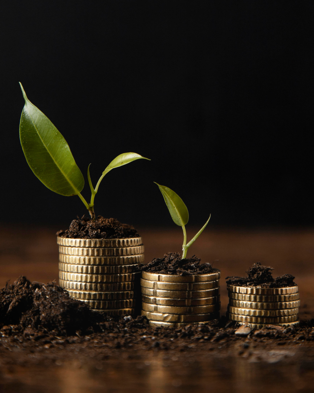An Overview on Mutual Funds: Introduction, Benefits and Types