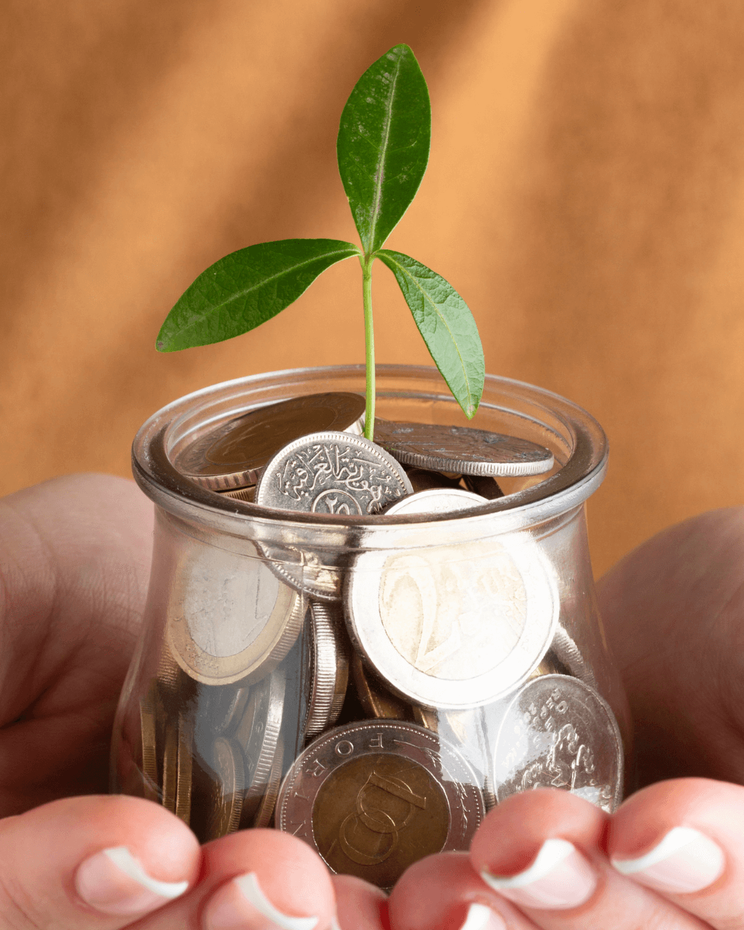 Mutual Fund Investments: How Do They Work and What Are Their Benefits?