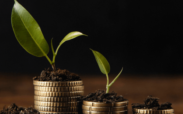 A Comprehensive Guide to Investing in Mutual Funds