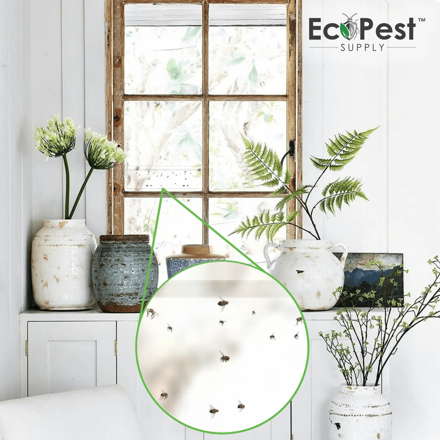 Sticky Fly Traps: The Ultimate Weapon Against Pesky Flies!